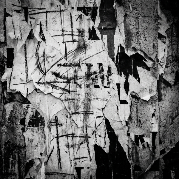 FRAGMENT 10 • THE FIELD