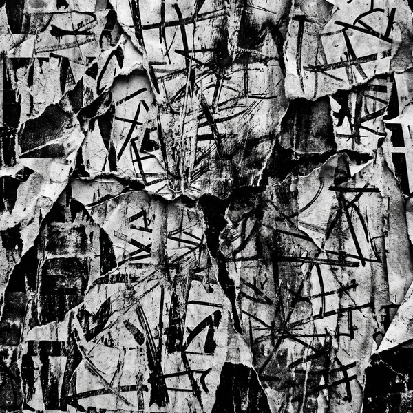 FRAGMENT 11 • THE FIELD