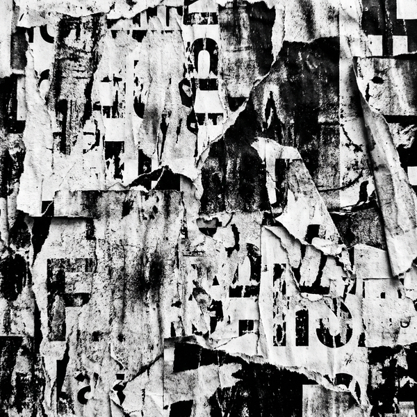 FRAGMENT 12 • THE FIELD