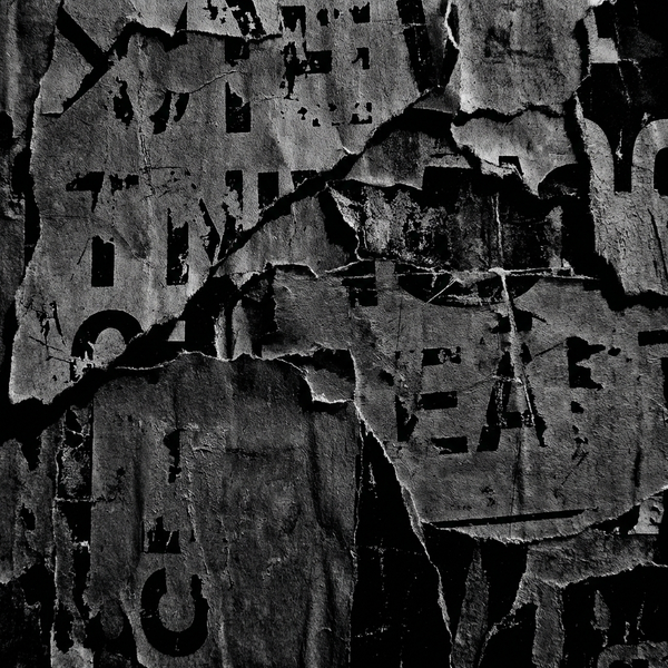 FRAGMENT 13 • THE PULSE