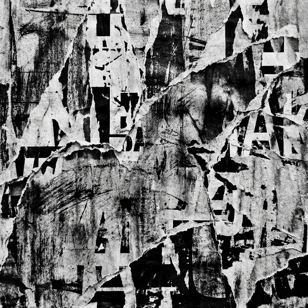 FRAGMENT 14 • THE PULSE