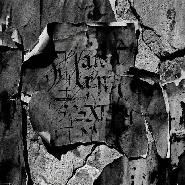 FRAGMENT 19 • FORM