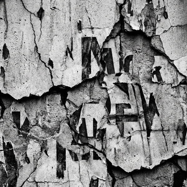 FRAGMENT 28 • INTELLIGENCE