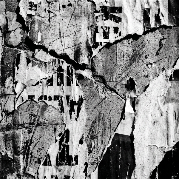 FRAGMENT 31 • LIFE