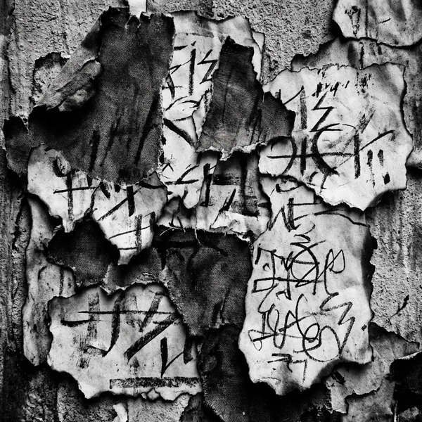 FRAGMENT 33 • LIFE