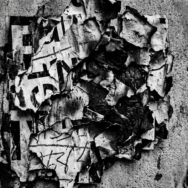 FRAGMENT 35 • THE BODY