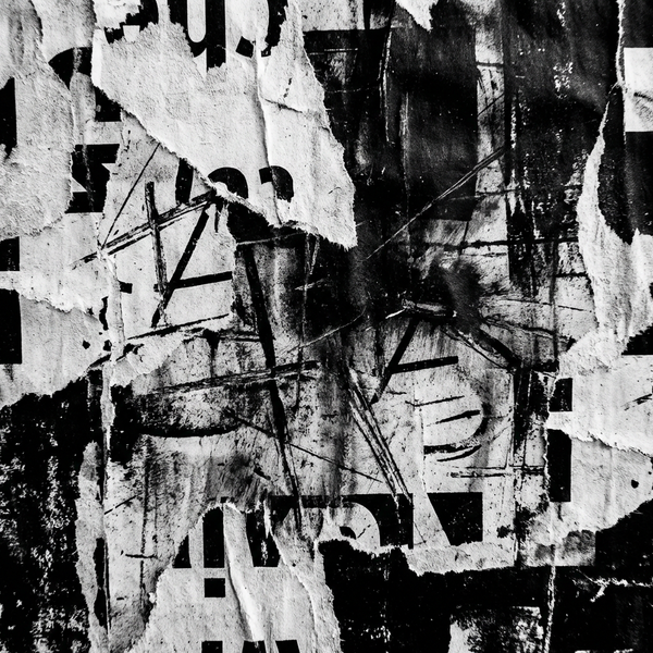 FRAGMENT 36 • THE BODY