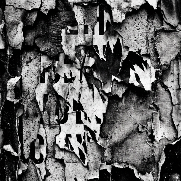 FRAGMENT 41 • THE SURROUND