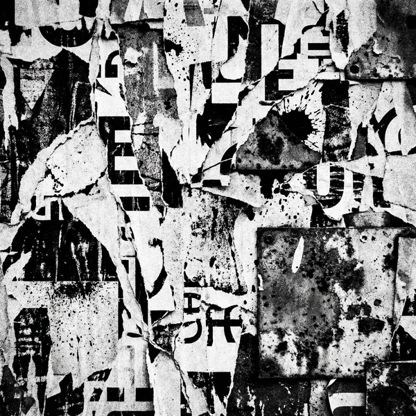 FRAGMENT 42 • THE SURROUND